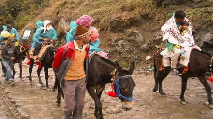 दोपहर के समय भार ढोने के लिए पशुओं के उपयोग पर लगा प्रतिबंध (सांकेतिक)।
