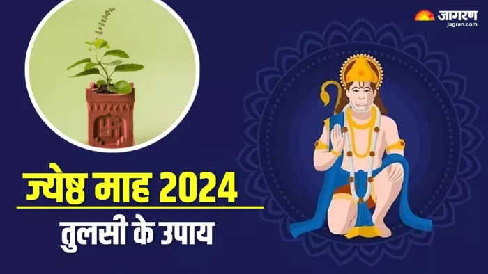 Jyeshtha Tulsi Upay जेष्ठ माह में करें तुलसी से जुड़े उपाय।