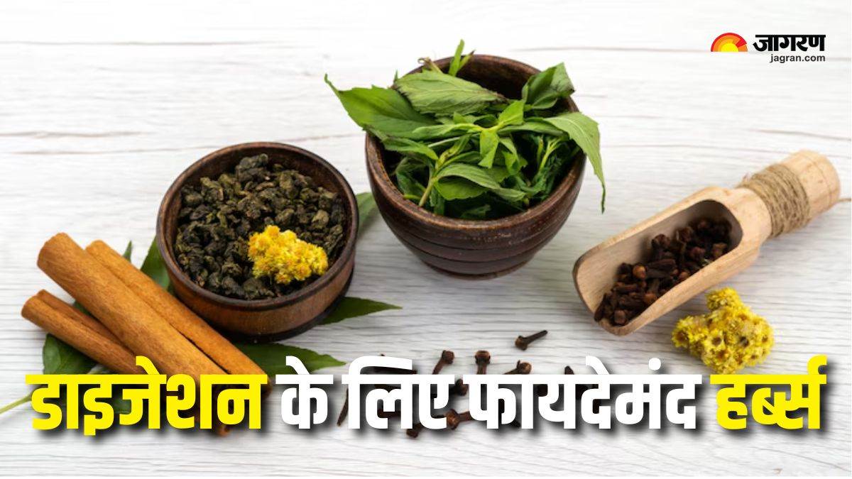 https://www.jagranimages.com/images/newimg/29052025/29_05_2025-herbs_for_digestion_23950046.jpg