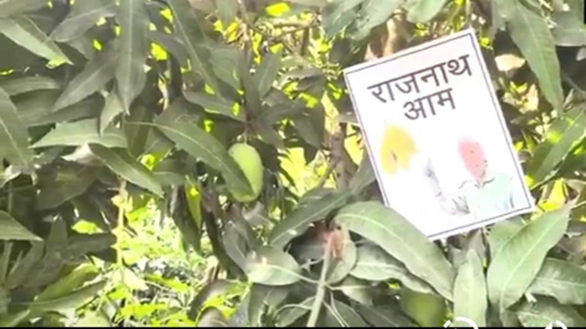 https://www.jagranimages.com/images/newimg/29052025/29_05_2025-jagran_photo_1_23949937.jpg