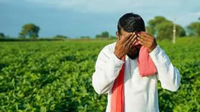 48 हजार किसानों ने नहीं कराया ईकेवाइसी, सम्माननिधि पर संकट।