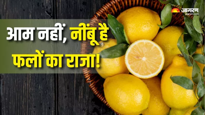Lemon Benefits: रोज एक नींबू खाने से दूर हो जाएंगी ये परेशानियां (Picture Courtesy: Freepik)