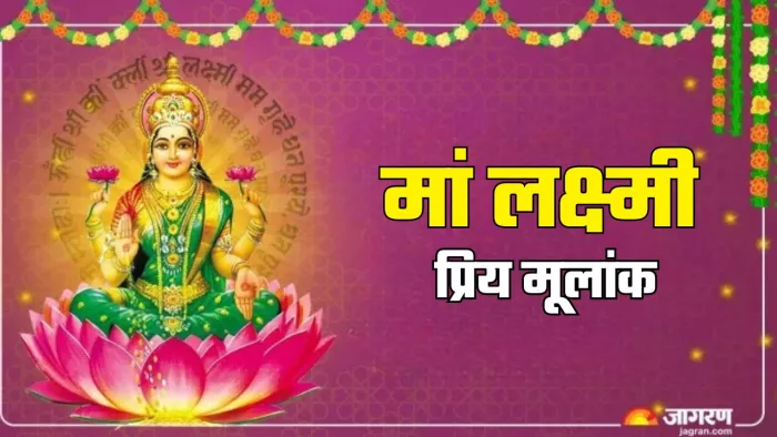 Numerology: धन की देवी मां लक्ष्मी का प्रिय मूलांक