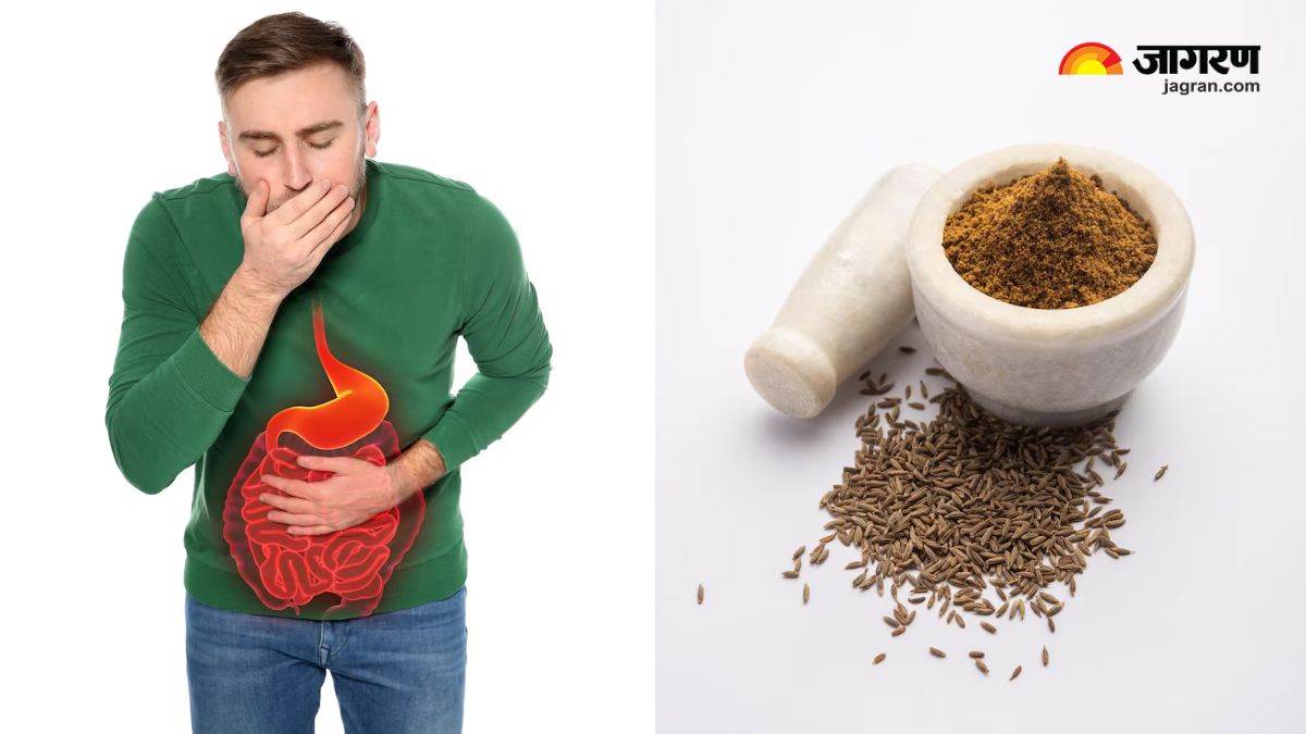 https://www.jagranimages.com/images/newimg/29052025/29_05_2025-seeds_for_digestion_23949397.jpg