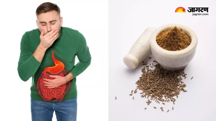 World Digestive Health Day 2025: एसिडिटी और बदहजमी का सफाया करने के लिए रोज खाएं 5 Seeds (Image Source:Freepik)