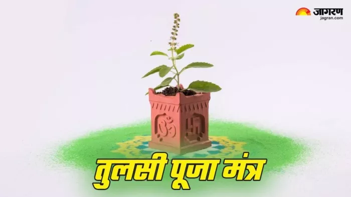 Tulsi Mantra: तुलसी पूजा की पूरी जानकारी