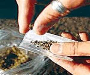 मानगो की महिला से ब्राउन शुगर लाकर कीताडीह में बेचती थी रूही परवीन।