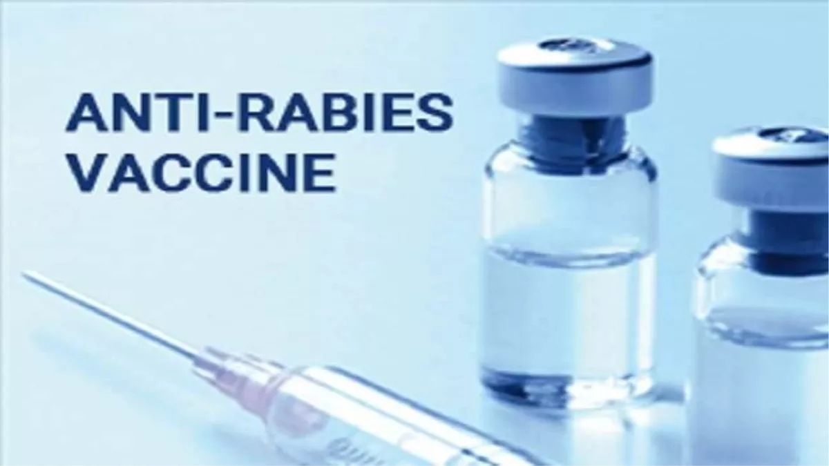 Anti Rabies Vaccine: जिला अस्पताल में खत्म हो रहा है एआरवी का स्टाक, सामाजिक संगठन से मांगी जा रही मदद