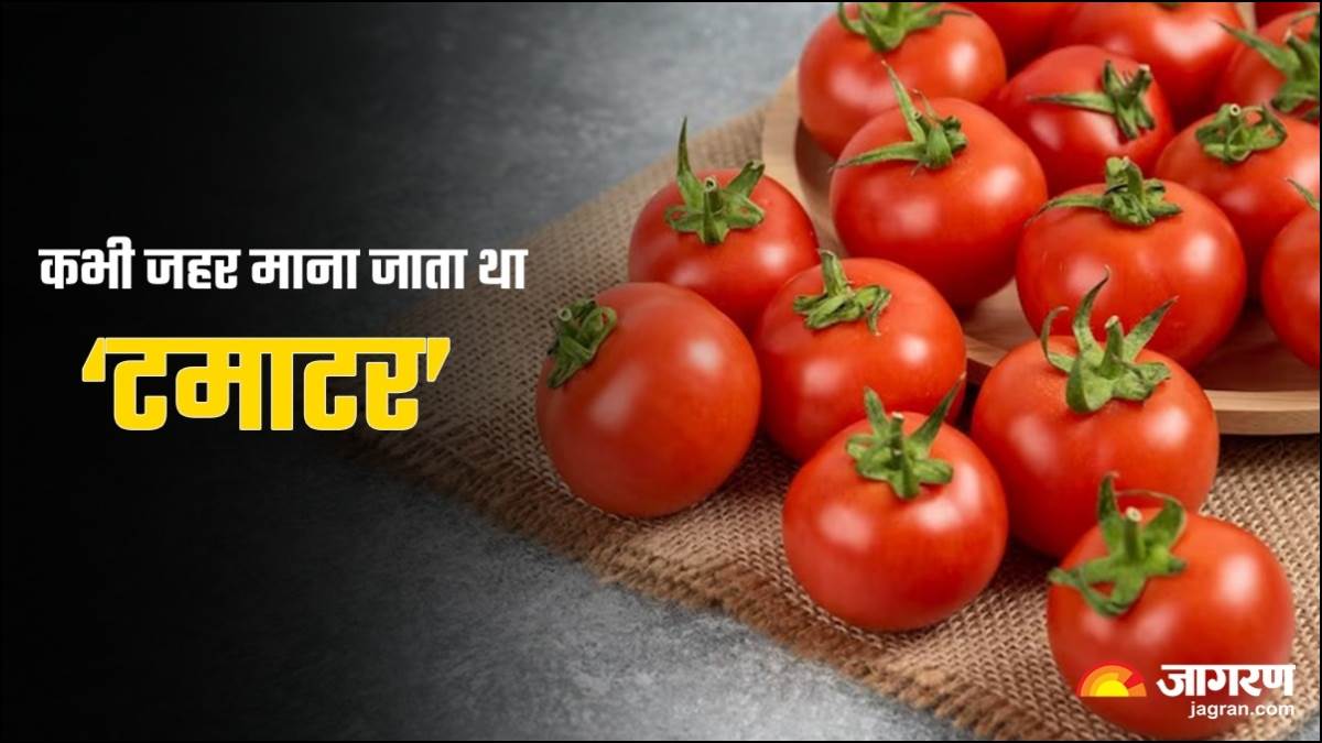 https://www.jagranimages.com/images/newimg/29062023/29_06_2023-tomato_1_23455879.jpg