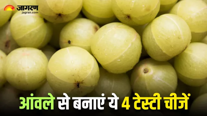 गर्मियों में ट्राई करें आंवले की ये 4 शानदार रेसिपी (Image Source: Freepik)