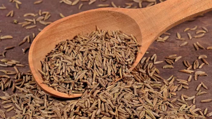 जीरा पानी पीने के फायदे (Picture Credit- Freepik)