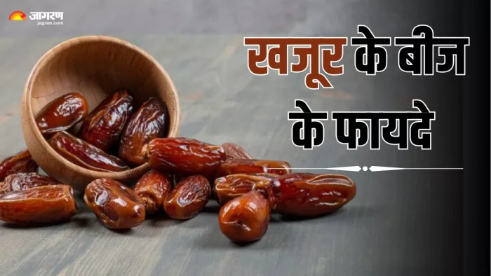 खजूर के बीज के फायदे (Picture Credit- Freepik)