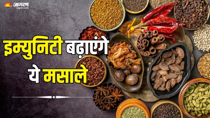 मानसून में इम्युनिटी बढ़ाएंगे ये मसाले (Picture Credit- Freepik)