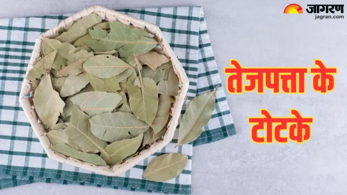 Tej Patta Ke Upay: तेजपत्ता के चमत्कारी टोटके(Pic Credit- Freepik)