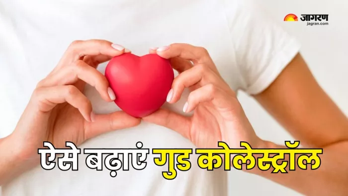 Good Cholesterol है आपके दिल का बेस्ट फ्रेंड (Picture Courtesy: Freepik)
