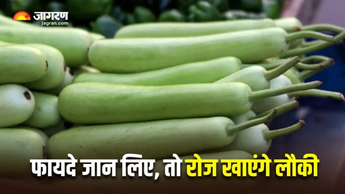 लौकी के ये फायदे जानकर आप भी चौंक जाएंगे (Image Source: Freepik)