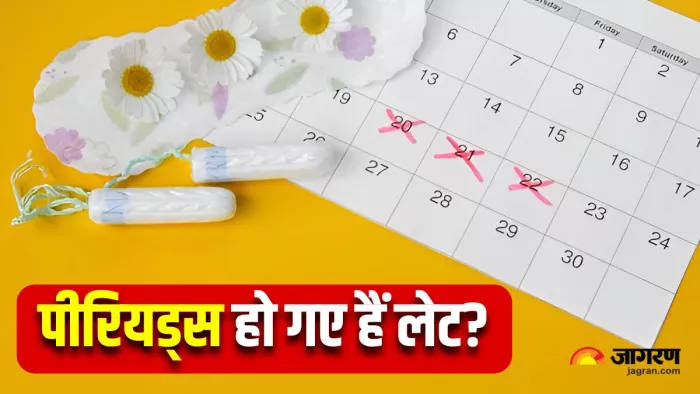 पीरियड्स में हो गई है देरी... कहीं ये 7 वजहें तो नहीं जिम्मेदार? (Image Source: Freepik)