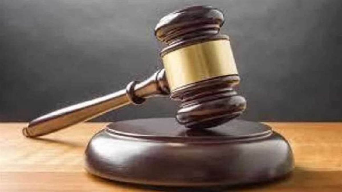 ncr delhi high court grants bail to mother for newborn care