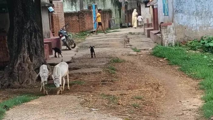 लकरछरा गांव में असुविधा से ग्रामीणों की बढ़ी परेशानी।