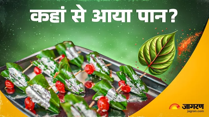 आखिर क्या है पान का इतिहास ?
