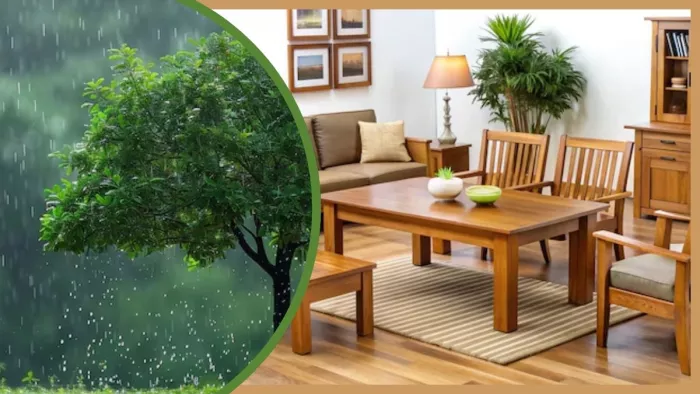 बरसात में कैसे रखें फर्नीचर का ख्याल (Image Credit- Freepik)