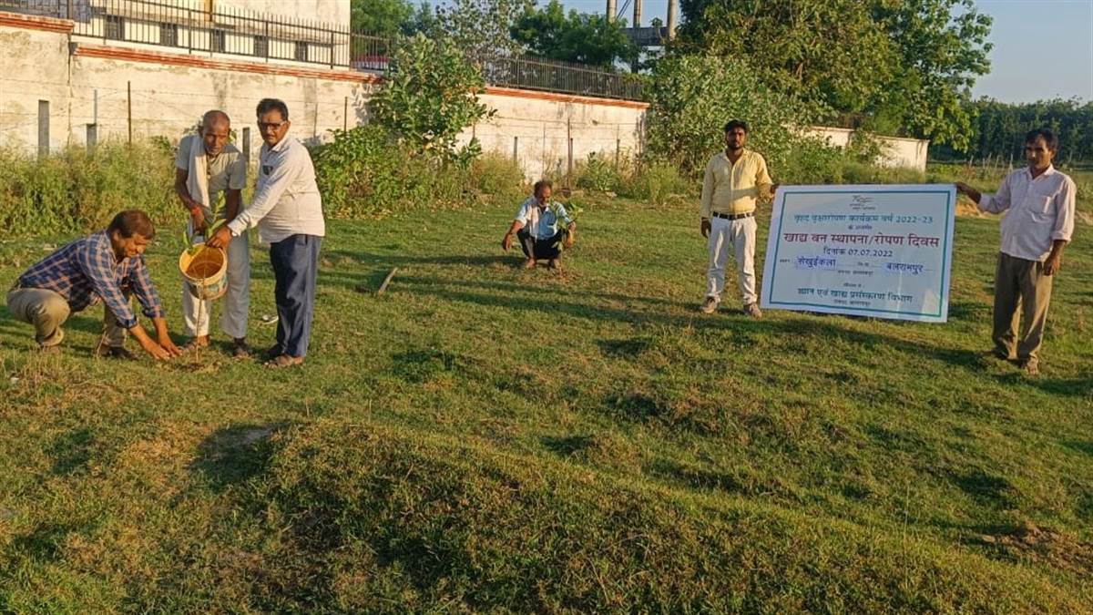 बलरामपुर में बनेगा देवी पाटन मंडल का पहला मशरूम बीज प्रयोगशाला