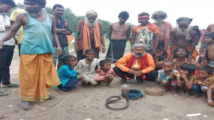 प्रयागराज में यह एक गांव ऐसा है जहां के लोगों का जीवन नागों पर आश्रित है।