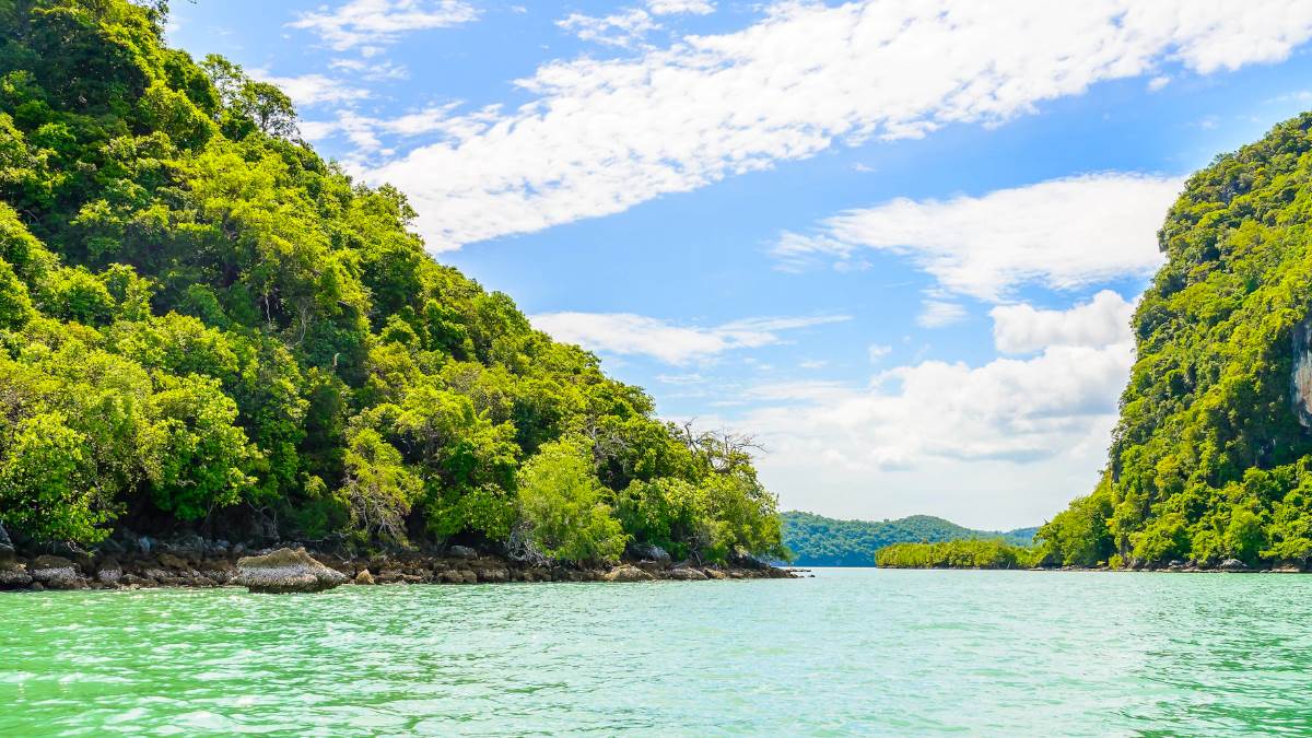 irctc andaman tour package take the andaman tour package of 6 days 5 nights starts at 52400 rupees know here full details