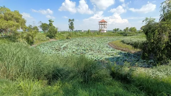 सुरहा ताल में नौकायन बंद, पर्यटन विकास की रहा देख रहा पक्षी विहार