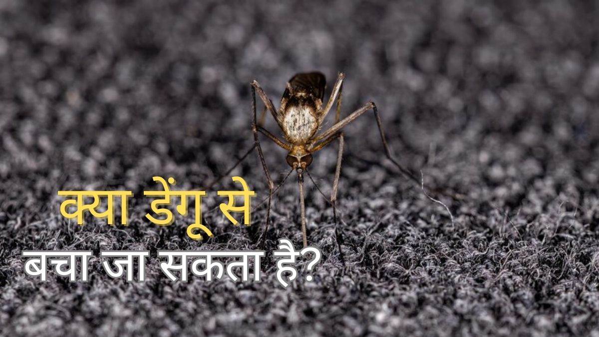 News Article Hero Image