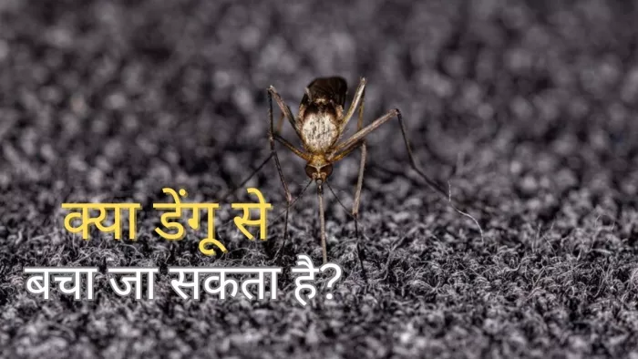 Dengue Prevention: डेंगू से कैसे बचने के लिए क्या करें?