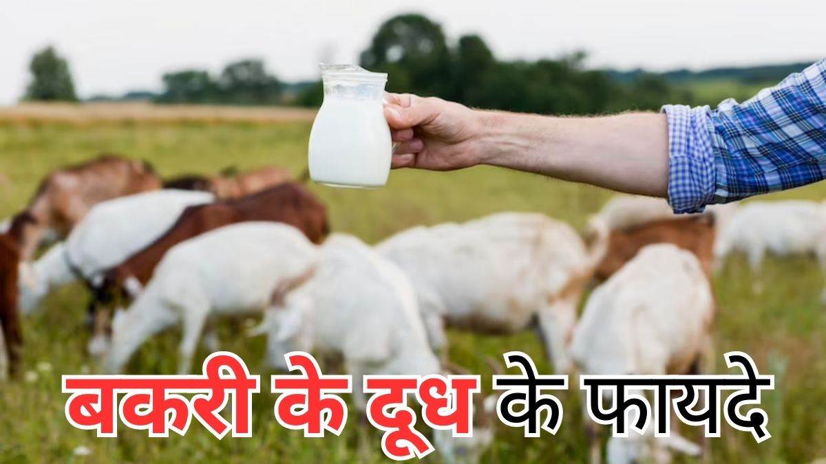 https://www.jagranimages.com/images/newimg/29072023/29_07_2023-milk_6_23485610.jpg