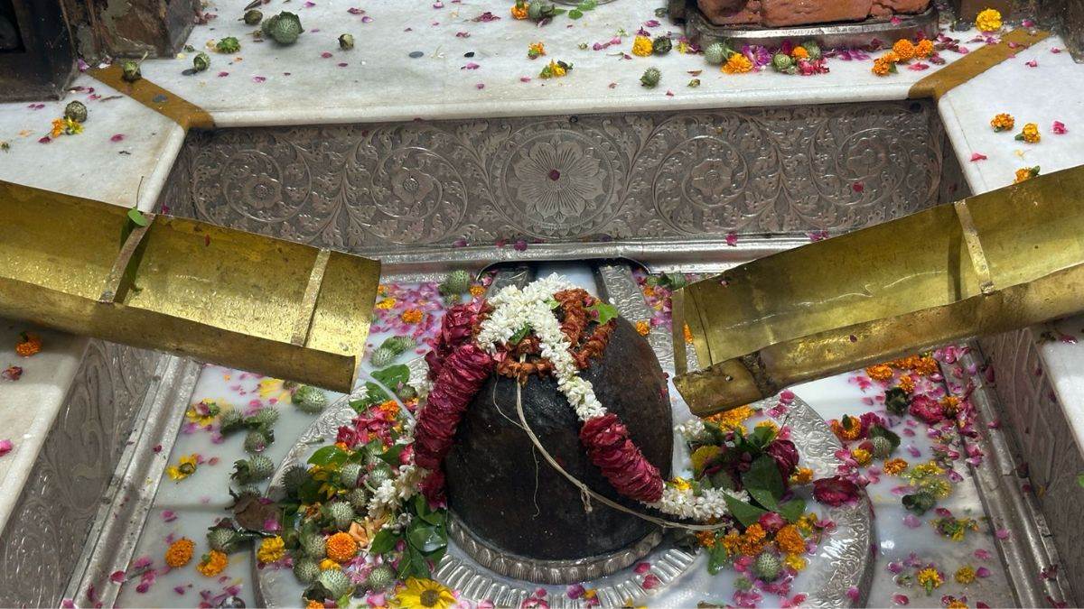 News Article Hero Image