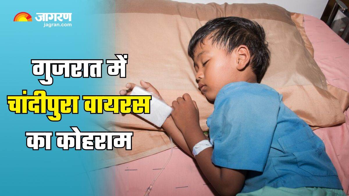 https://www.jagranimages.com/images/newimg/29072024/29_07_2024-chandipura_virus_23767944.jpg