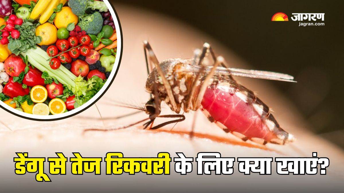 dengue fever essential fruits and vegetables for boosting immunity and fast recovery from dengue