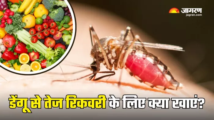 Dengue से जल्दी आराम पाने के लिए खाएं ये फूड्स (Picture Courtesy: Freepik)