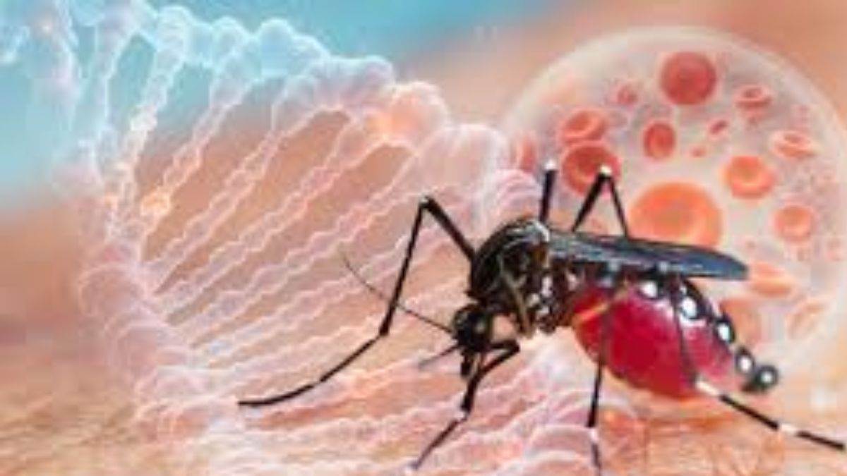 https://www.jagranimages.com/images/newimg/29072025/29_07_2025-dengue_23997791.jpg