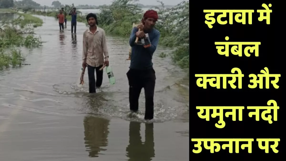 Etawah Flood Alert: इटावा के कई गांवों में बाढ़ का खतरा, चंबल, क्वारी और यमुना नदी उफान पर, कई रास्ते बंद