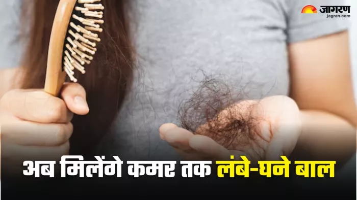 हेयरफॉल के लिए ट्राई करें कढ़ी पत्ते से बना ये मैजिकल ड्रिंक (Picture Credit- Freepik)