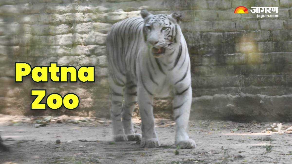 https://www.jagranimages.com/images/newimg/29072025/29_07_2025-patna_zoo_23997552.jpg