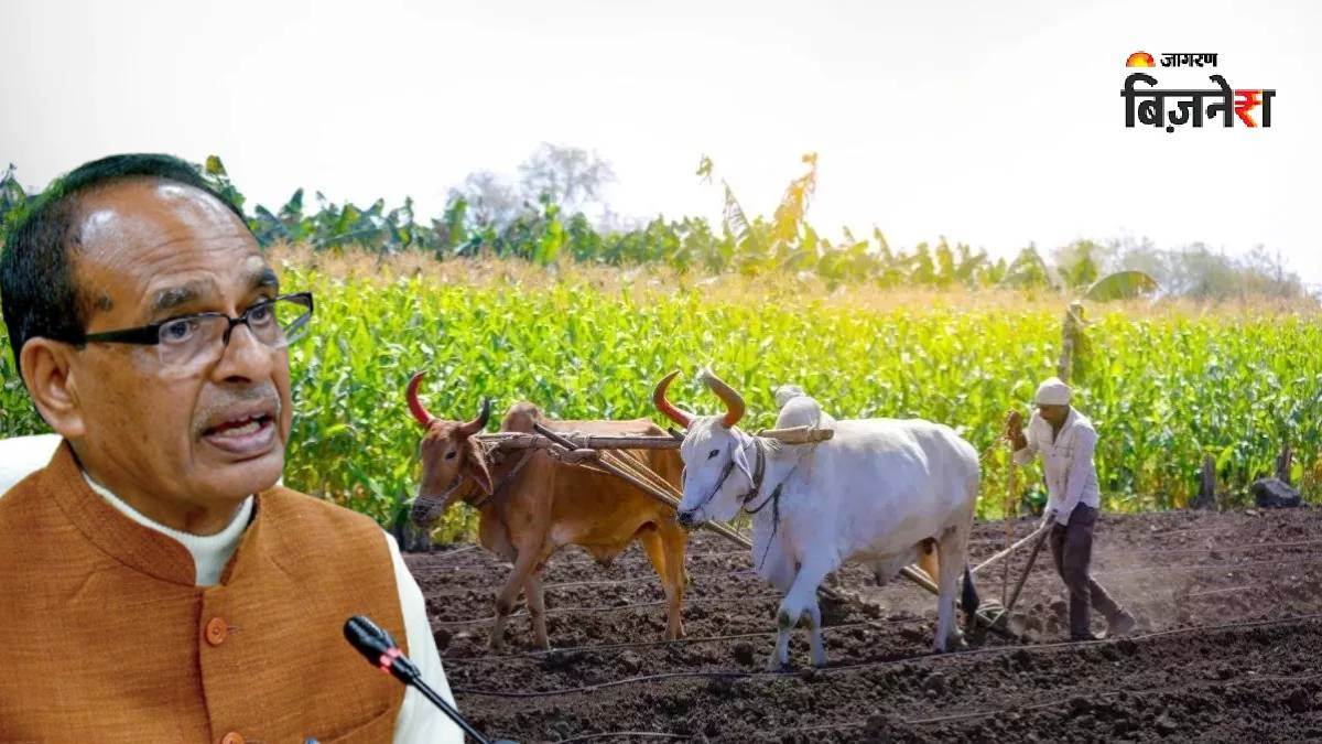 https://www.jagranimages.com/images/newimg/29072025/29_07_2025-shivraj_singh_chauhan_23998018.jpg