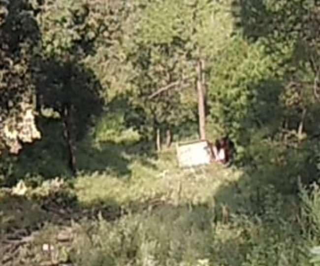 पर्यटन नगरी कसौली के नजदीक एक ट्रक के गहरी खाई में गिरने से ट्रक चालक की मौत हो गई