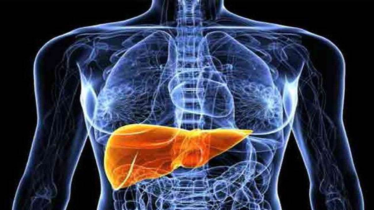 keep food and drink balanced do this work five days a week patna doctor told ways to keep liver healthy