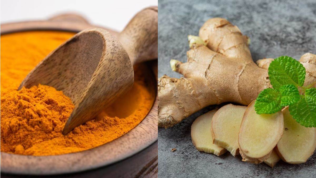 https://www.jagranimages.com/images/newimg/29082023/29_08_2023-healthy_spices_23515437.jpg