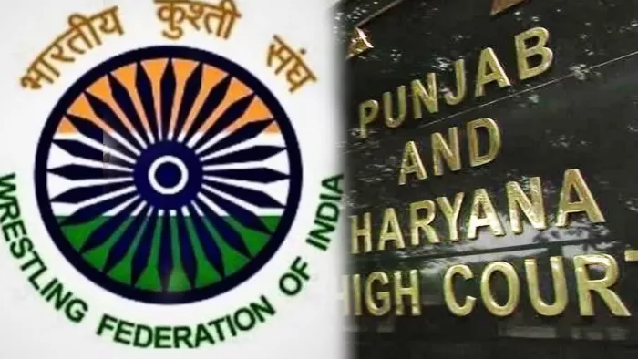 Haryana: फिर अटके कुश्ती महासंघ के चुनाव, HC की सुनवाई 25 सितंबर तक हुई स्थगित