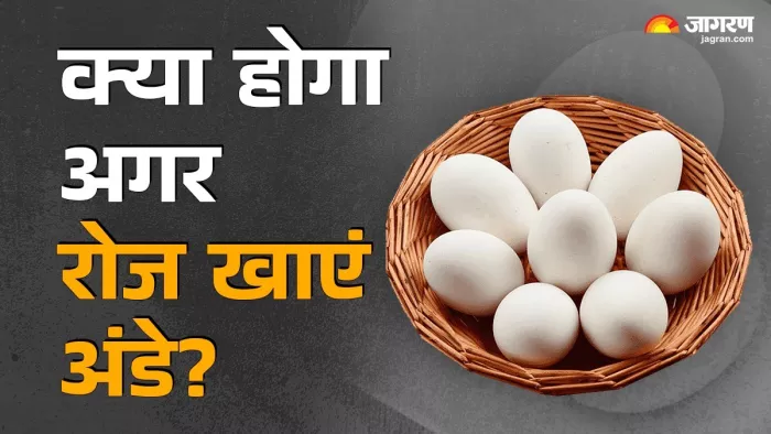 रोजाना अंडे खाने से शरीर पर कैसा होगा असर? (Image Source: Freepik)