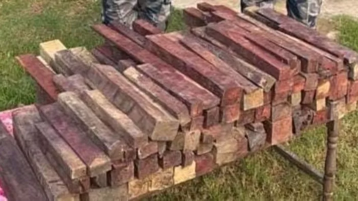 नेपाल में नवलपरासी जिले के रामग्राम में बरामद लाल चंदन। सौ. नेपाल पुलिस