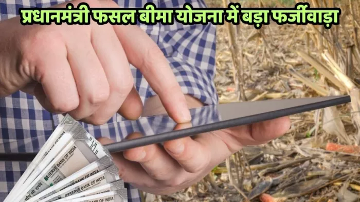 महोबा में प्रधानमंत्री फसल बीमा योजना में फर्जीवाड़ा हुआ है।
