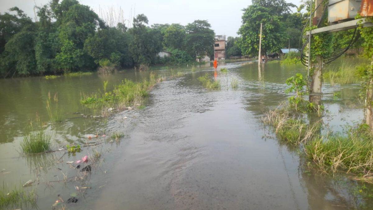 https://www.jagranimages.com/images/newimg/29082025/29_08_2025-bihar_flood_24029032.jpg