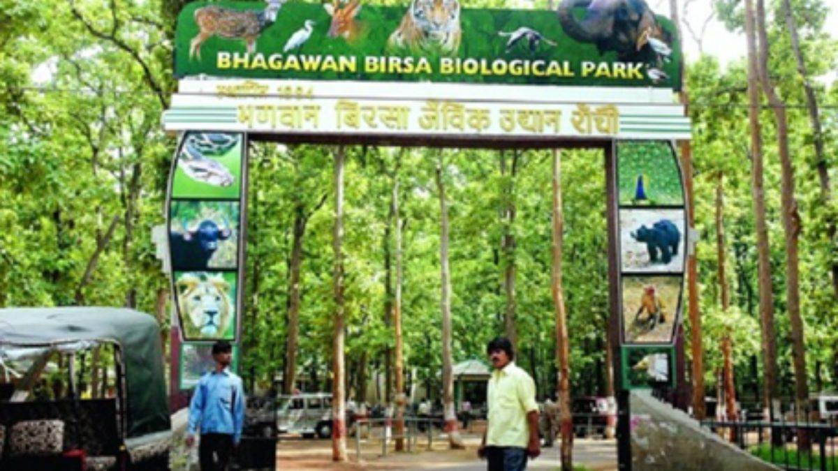 https://www.jagranimages.com/images/newimg/29082025/29_08_2025-birsa_munda_biological_park_24028508.jpg